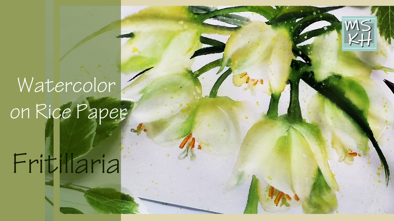 Fritillaria thumbnail